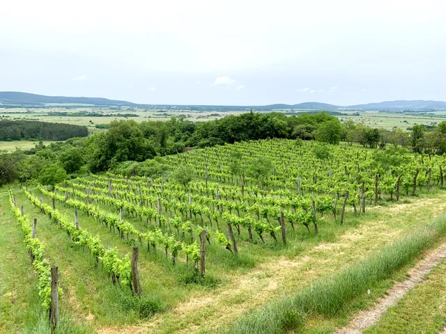 Eladó üdülő és hétvégi ház Köveskál, Külterület 80 nm