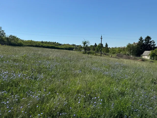 Eladó telek Balatonfűzfő 740 nm
