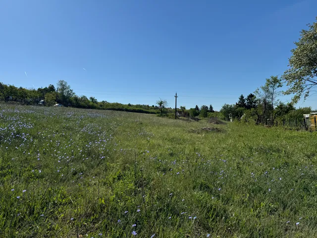 Eladó telek Balatonfűzfő, Harmat utca 740 nm