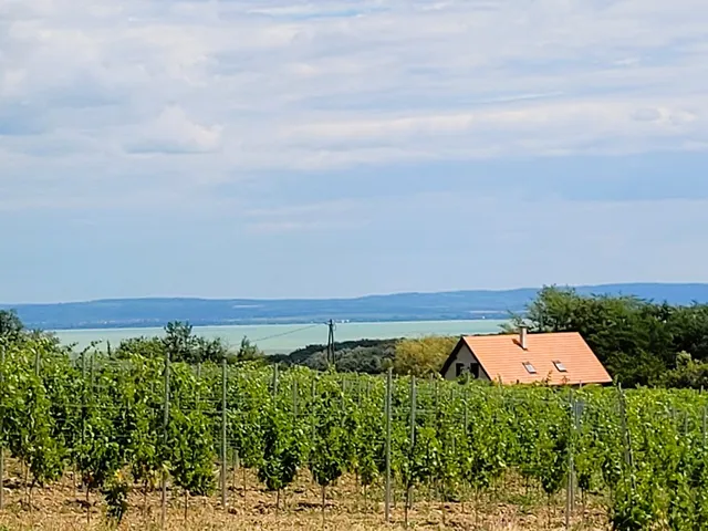 Eladó nyaraló Monoszló 80 nm