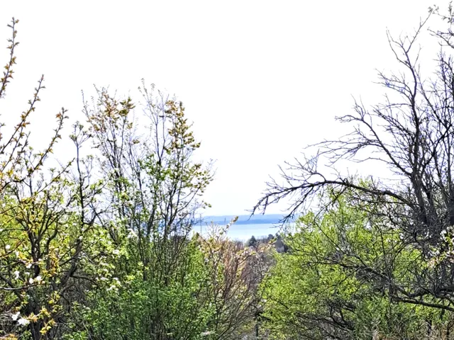 Eladó telek Balatonkenese 4417 nm