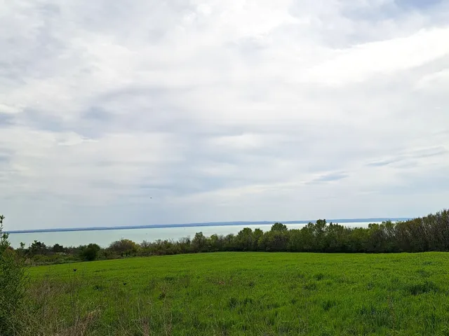 Eladó telek Balatonkenese 10700 nm