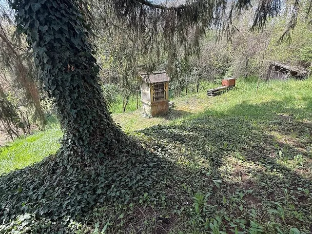 Eladó mezőgazdasági ingatlan Dombóvár, Márton tető 30 nm