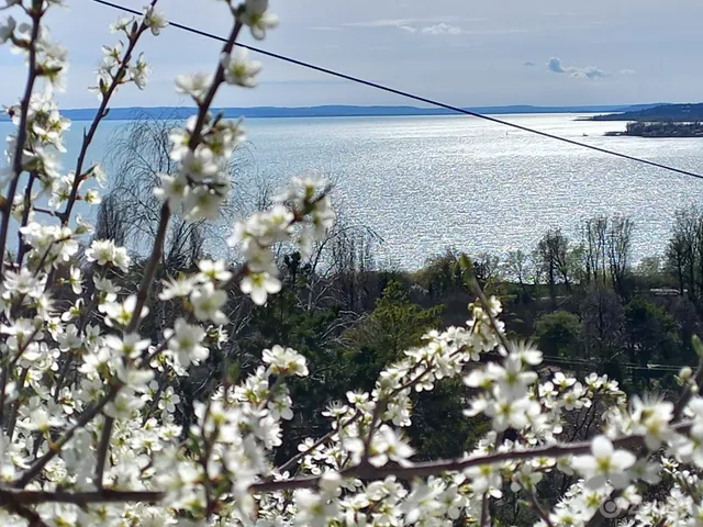 Eladó üdülő és hétvégi ház Balatonfűzfő 60 nm