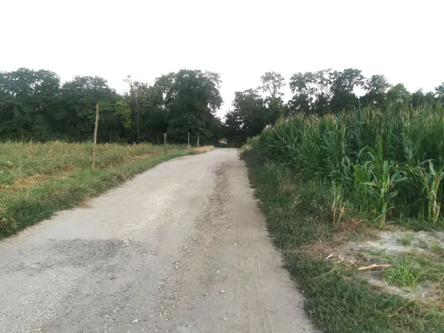 Eladó telek Zamárdi, Kőhegy 3433 nm