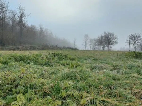 Eladó telek Felsőrajk 3418 nm