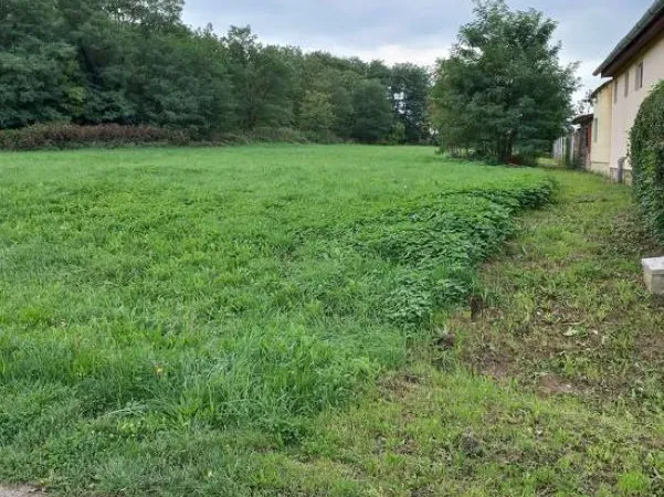 Eladó telek Felsőrajk 2590 nm