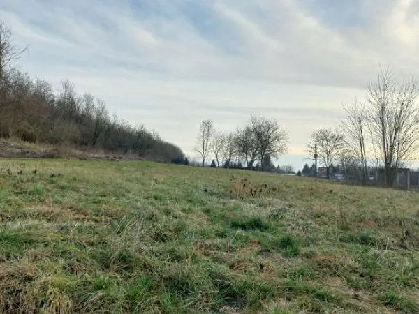 Eladó telek Felsőrajk 2590 nm