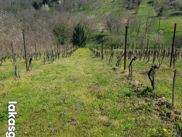 Eladó mezőgazdasági ingatlan Zalaegerszeg 2018 nm