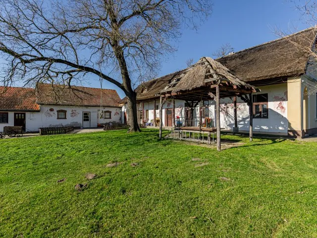 Eladó mezőgazdasági ingatlan Délegyháza 100672 nm