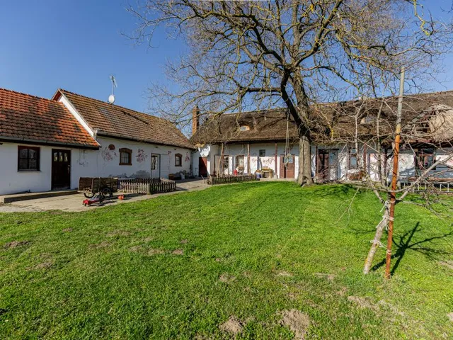 Eladó mezőgazdasági ingatlan Délegyháza 100672 nm