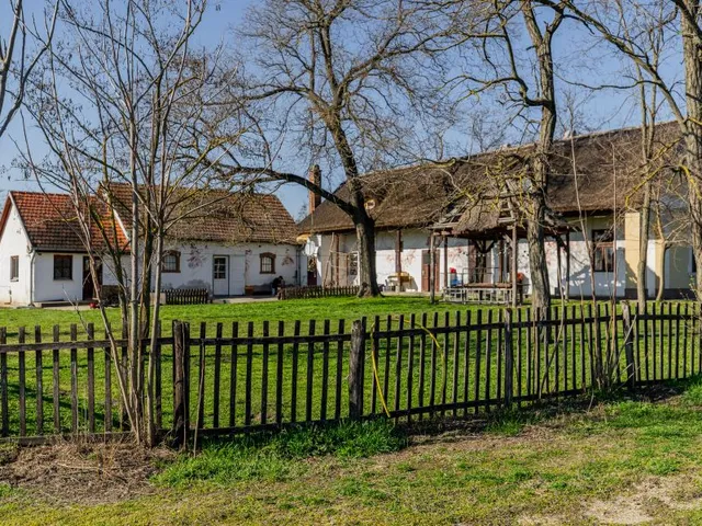 Eladó mezőgazdasági ingatlan Délegyháza 100672 nm