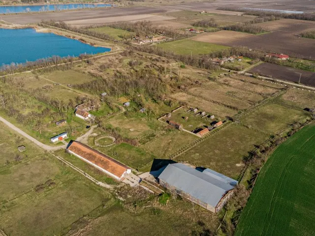 Eladó mezőgazdasági ingatlan Délegyháza 100672 nm