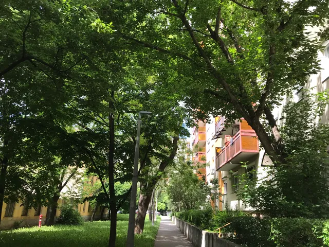 Eladó lakás Budapest IV. kerület, Újpest 52 nm