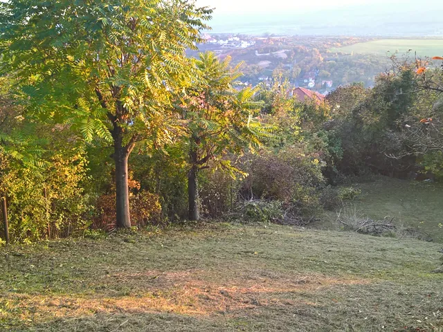 Eladó telek Pomáz, Messelia 822 nm