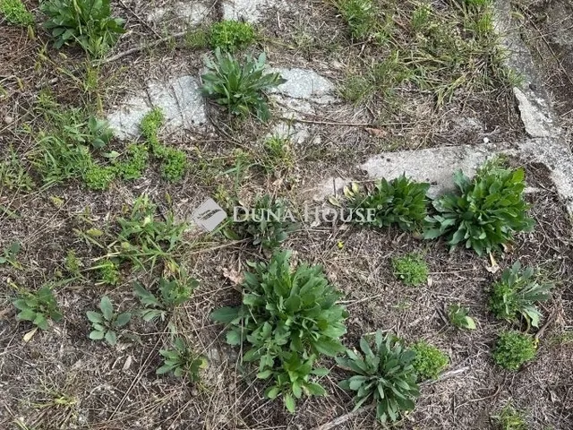 Eladó telek Kulcs 824 nm