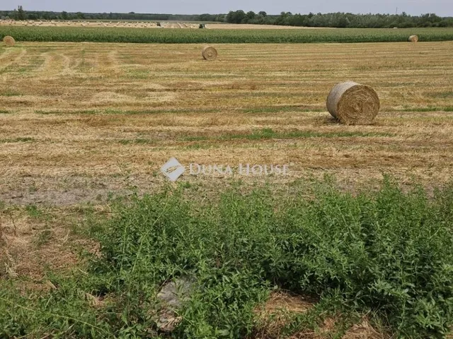 Eladó telek Iváncsa 2500 nm