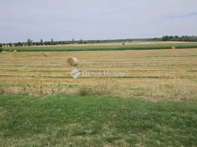 Eladó telek Iváncsa 5158 nm