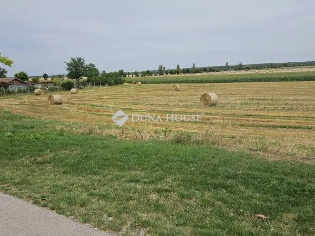 Eladó telek Iváncsa 1298 nm