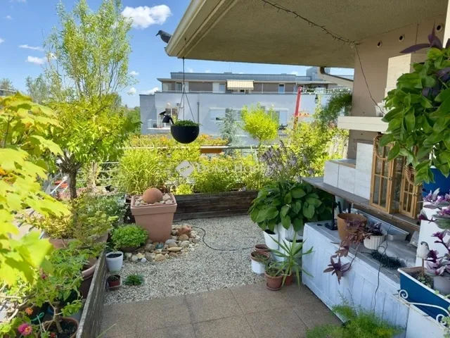 Eladó lakás Budapest XIV. kerület, Alsórákos 55 nm