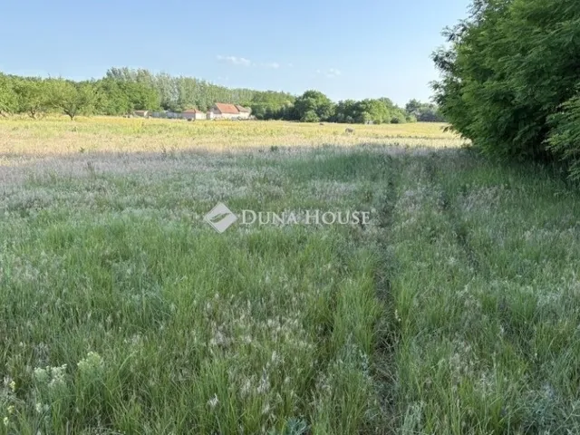 Eladó telek Kóka 811 nm