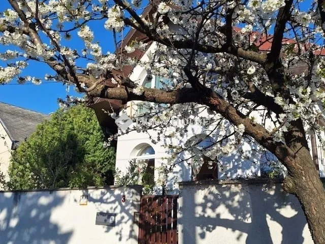 Eladó ház Budapest XVIII. kerület 300 nm