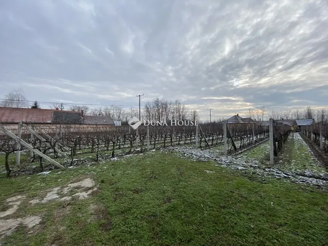 Eladó mezőgazdasági ingatlan Daruszentmiklós 100 nm