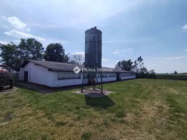 Eladó mezőgazdasági ingatlan Székkutas 150 nm