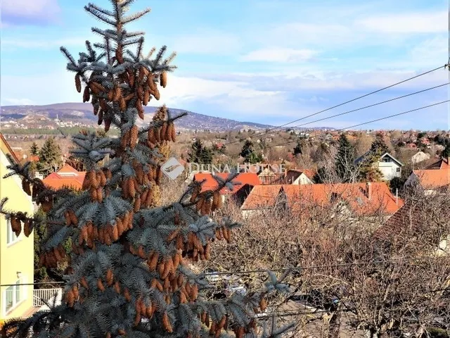 Eladó ház Törökbálint 264 nm