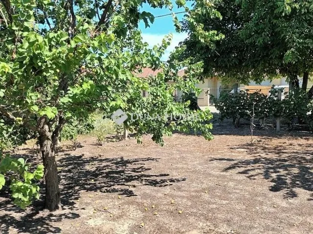 Eladó telek Halásztelek 765 nm