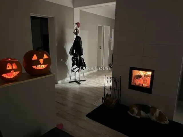 Eladó ház Halásztelek 262 nm