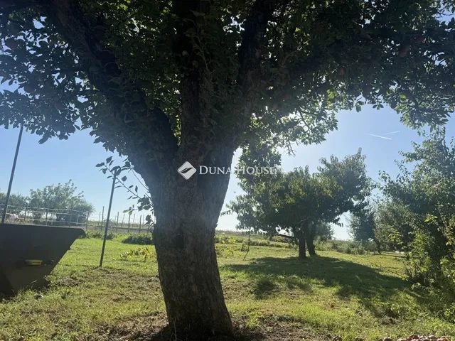 Eladó telek Felcsút 1017 nm