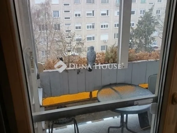 Eladó lakás Szeged 47 nm