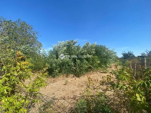 Eladó telek Orosháza 5741 nm