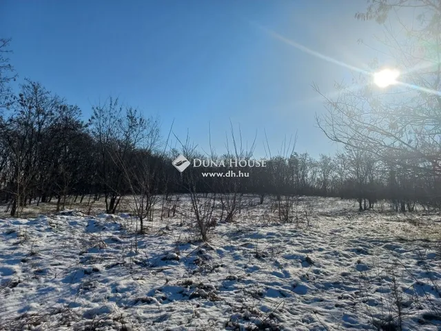 Eladó telek Debrecen, Biczó István-kert 4646 nm