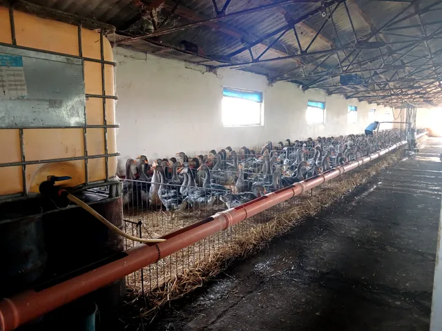 Eladó mezőgazdasági ingatlan Sárrétudvari, Külterület 1000 nm