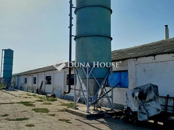 Eladó mezőgazdasági ingatlan Sárrétudvari 1000 nm