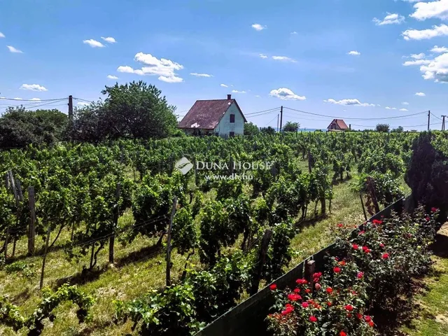 Eladó üdülő és hétvégi ház Szekszárd 70 nm