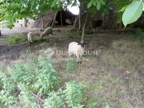 Eladó kereskedelmi és ipari ingatlan Sükösd 300 nm