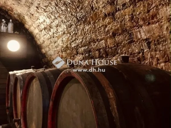 Eladó kereskedelmi és ipari ingatlan Sükösd 300 nm