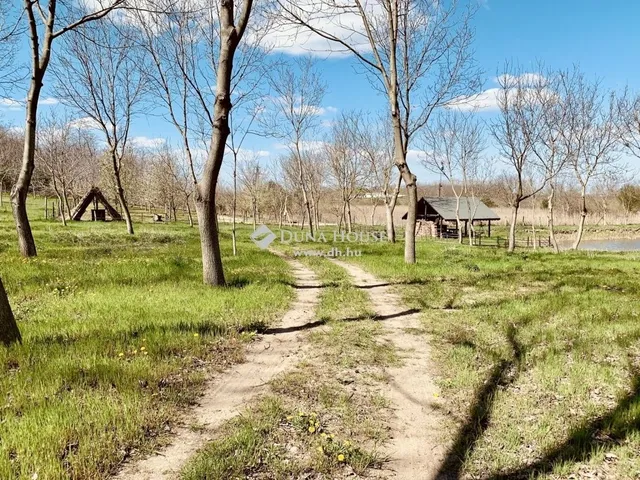 Eladó kereskedelmi és ipari ingatlan Sükösd 300 nm