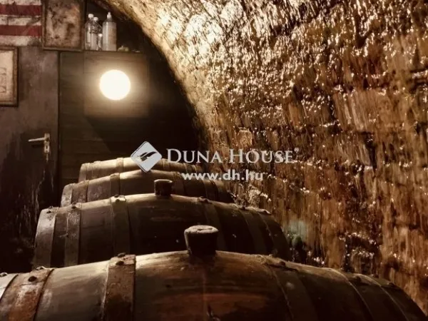 Eladó kereskedelmi és ipari ingatlan Sükösd 300 nm