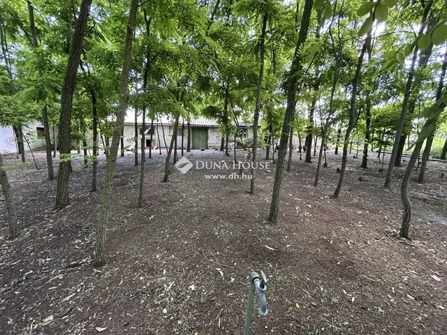 Eladó ház Nagybaracska 120 nm