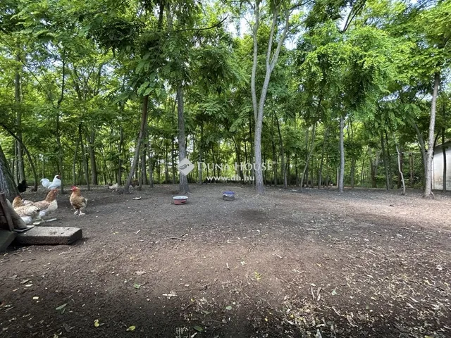 Eladó ház Nagybaracska 120 nm