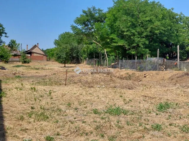 Eladó telek Csávoly 1452 nm
