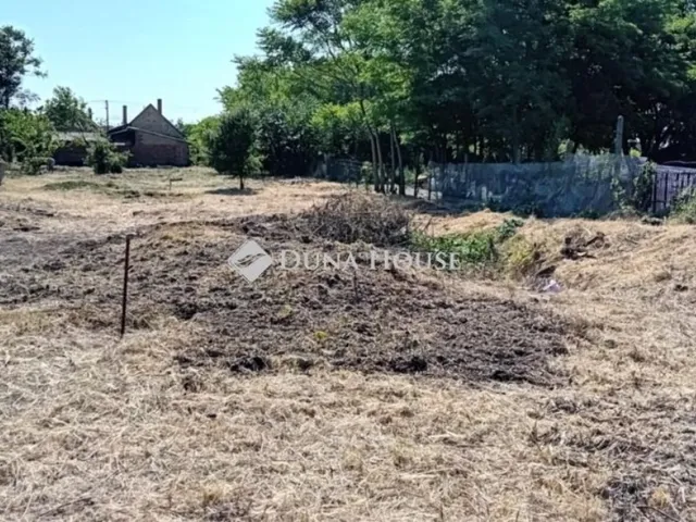 Eladó építési telek, Csávoly - Több