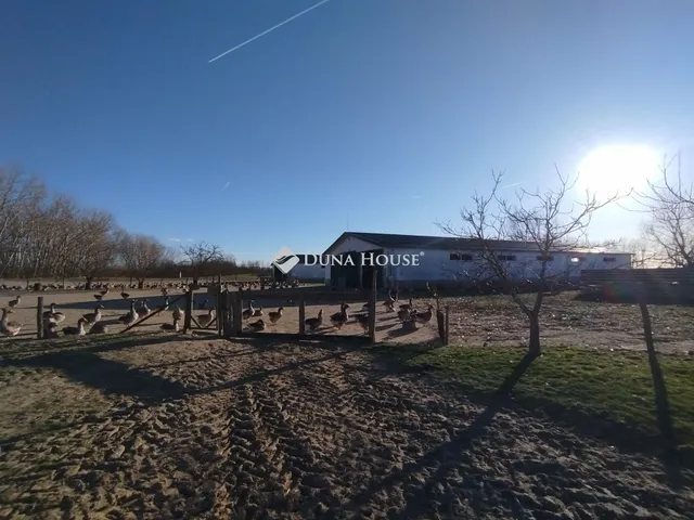 Eladó mezőgazdasági ingatlan Tatárszentgyörgy 194 nm