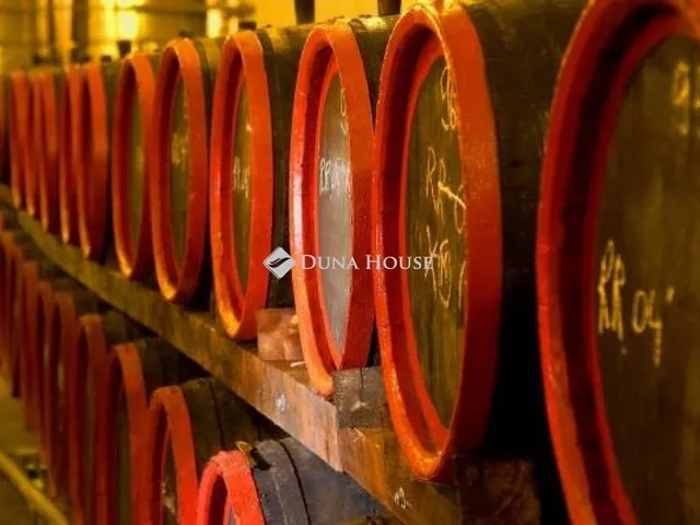 Eladó mezőgazdasági ingatlan Baja 470 nm