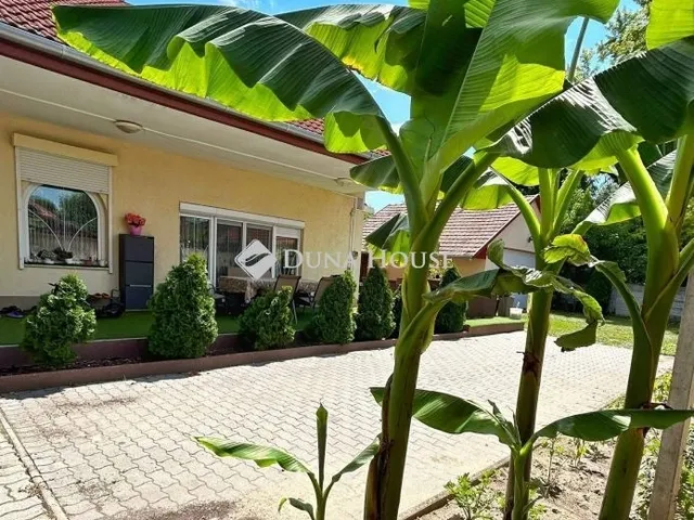 Eladó ház Baja 317 nm