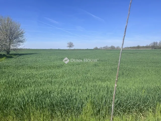 Eladó ház Bácsbokod 94 nm